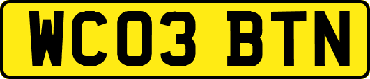 WC03BTN