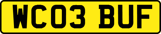 WC03BUF