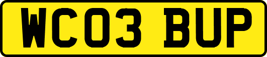 WC03BUP
