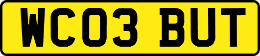 WC03BUT