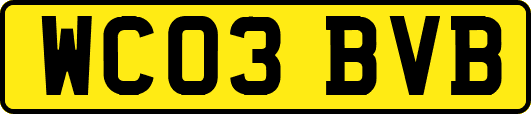 WC03BVB