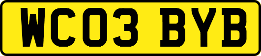 WC03BYB