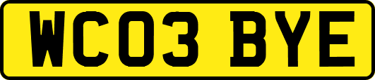 WC03BYE