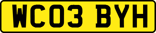 WC03BYH