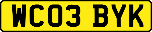 WC03BYK