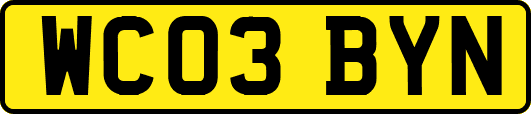 WC03BYN