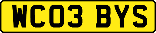 WC03BYS