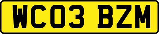 WC03BZM