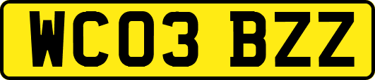 WC03BZZ