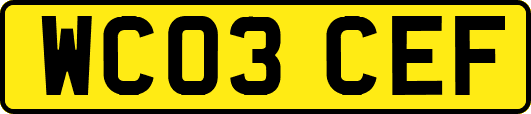 WC03CEF