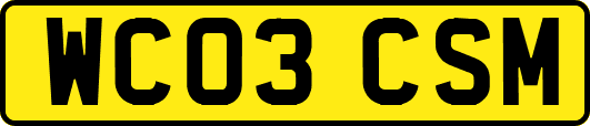 WC03CSM