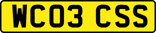 WC03CSS
