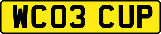 WC03CUP