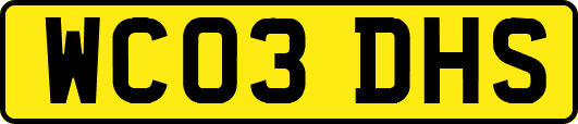 WC03DHS