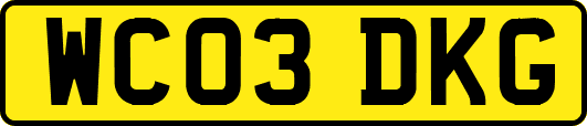 WC03DKG