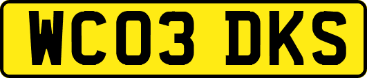 WC03DKS
