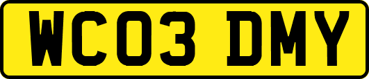 WC03DMY