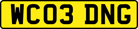 WC03DNG