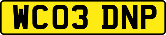 WC03DNP