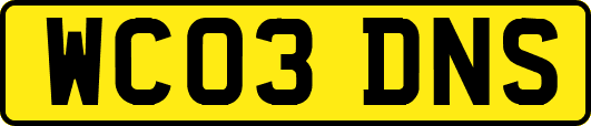 WC03DNS