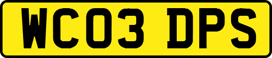 WC03DPS