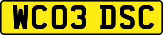 WC03DSC