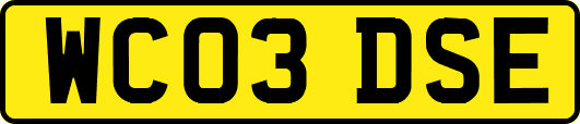 WC03DSE
