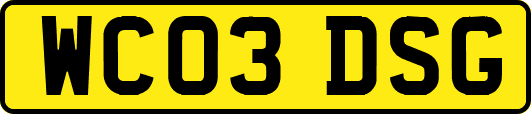 WC03DSG