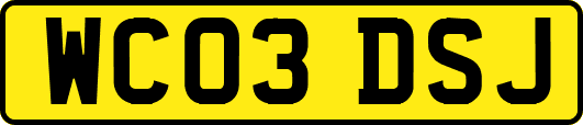 WC03DSJ