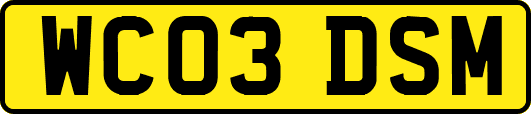 WC03DSM