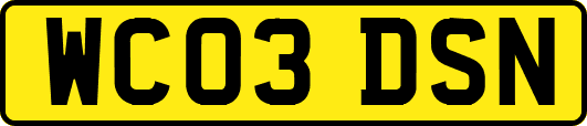 WC03DSN