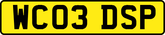 WC03DSP