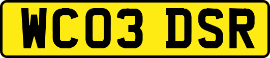 WC03DSR