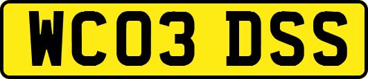 WC03DSS
