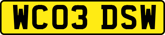 WC03DSW