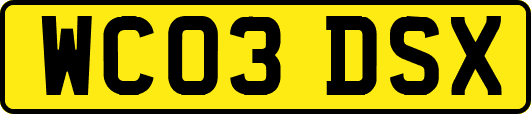 WC03DSX