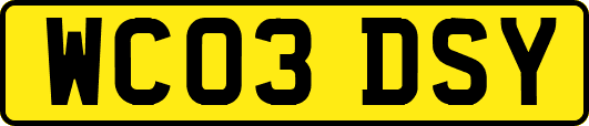 WC03DSY