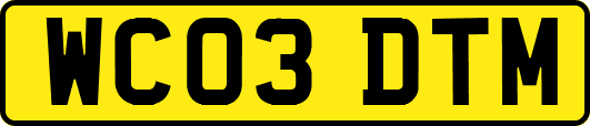 WC03DTM
