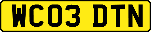 WC03DTN