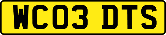 WC03DTS