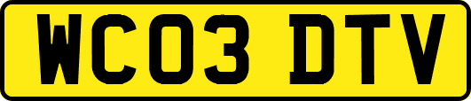 WC03DTV