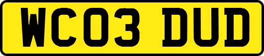 WC03DUD