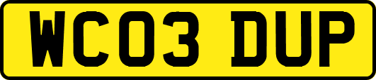 WC03DUP