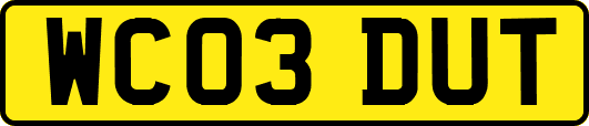 WC03DUT