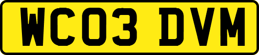 WC03DVM