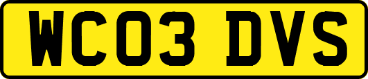 WC03DVS