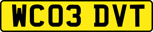 WC03DVT