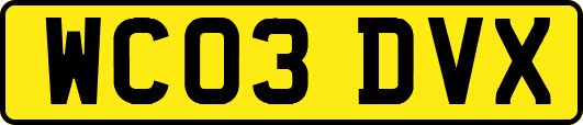 WC03DVX