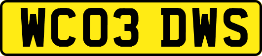 WC03DWS