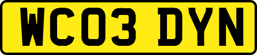 WC03DYN